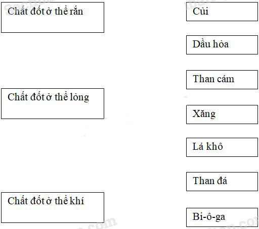 Giải Vở bài tập Khoa học lớp 5 bài 42, 43