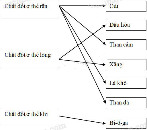 Giải Vở bài tập Khoa học lớp 5 bài 42, 43