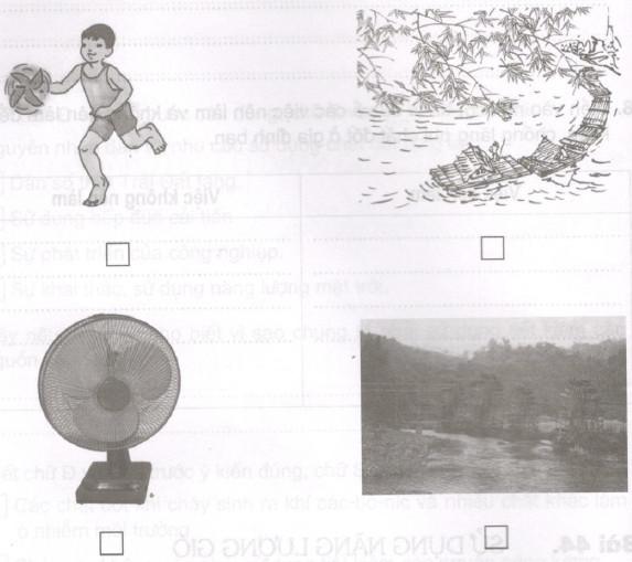 Giải Vở bài tập Khoa học lớp 5 bài 44