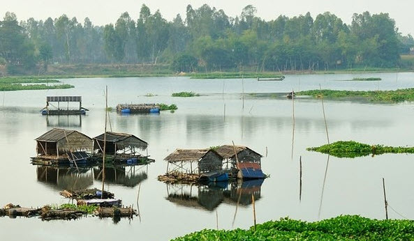 Dàn ý tả cảnh lũ lụt