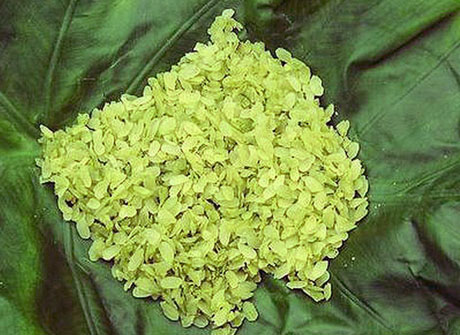 Một thứ cốm non