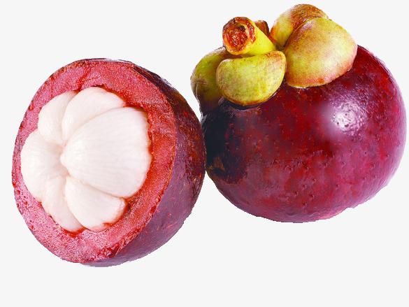 Tập làm văn: Đáp lời chia vui. Tả ngắn về cây cối