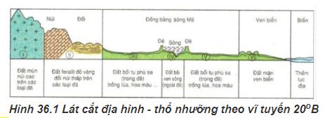 Trắc nghiệm Địa lý 8 