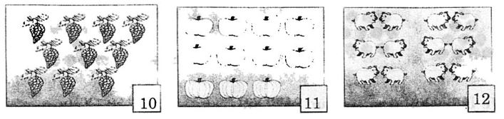 Giải vở bài tập Toán 1 bài 70: Mười một, mười hai