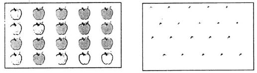 Giải Vở bài tập Toán 1 bài 72