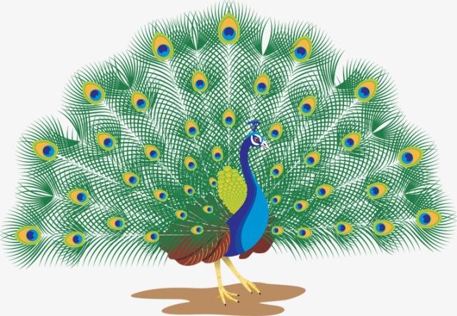 Tập đọc: Chú công