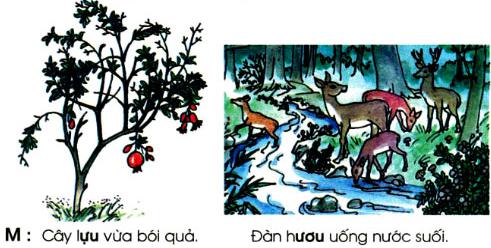 Lý thuyết Tiếng Việt 1: Tập đọc: Mèo con đi học