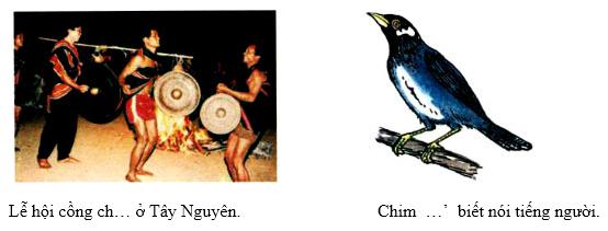 Lý thuyết Tiếng Việt 1: Tập đọc: Lũy tre