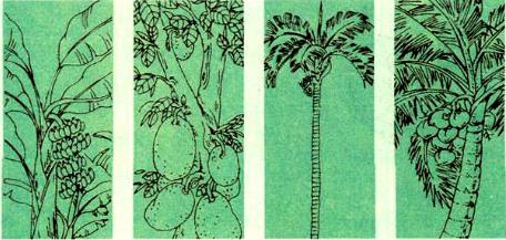 Lý thuyết Tiếng Việt 1: Tập đọc: Lũy tre