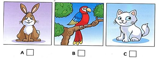 Kiểm tra học kì 1 môn Tiếng Anh lớp 6 năm học 2018 - 2019