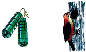 Lý thuyết Tiếng Việt 1: Tập đọc: Hai chị em