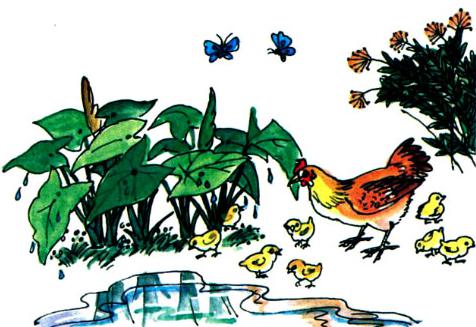 Lý thuyết Tiếng Việt 1: Tập đọc: Sau cơn mưa