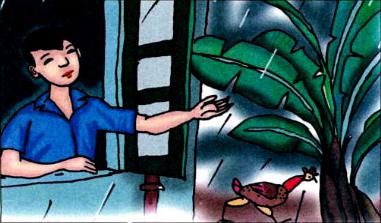 Lý thuyết Tiếng Việt 1: Tập đọc: Sau cơn mưa