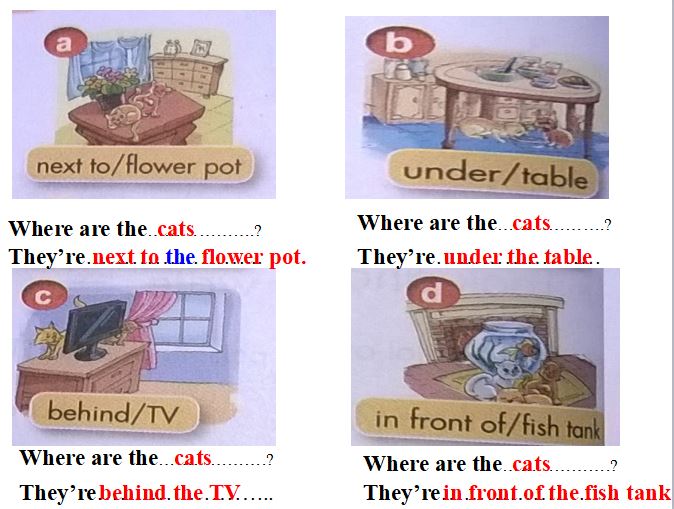 Bài giảng tiếng anh lớp 3