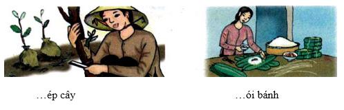 Chính tả: Loài cá thông minh