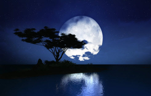 Cảm nghĩ về một đêm trăng