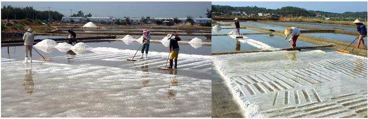 Sự bay hơi và sự ngưng tụ