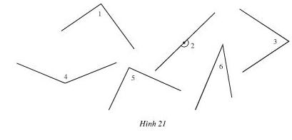 Giải bài tập SGK Toán lớp 6 Hình học Chương 2