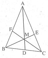Bài tập cuối tuần môn Toán lớp 6
