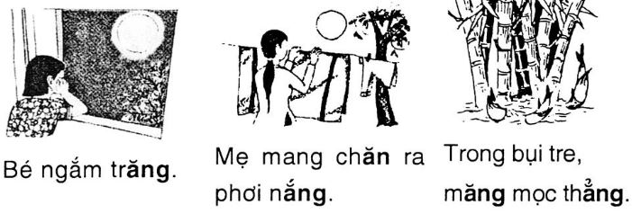 Chính tả: Đi học