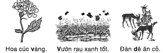 Chính tả: Làm anh 