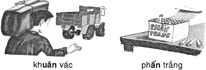 Chính tả: Loài cá thông minh