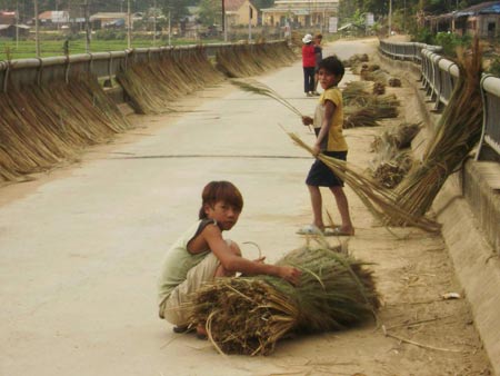 Nghị luận nói về tác hại của việc học sinh nghỉ học, bỏ học khi đang độ tuổi đến trường