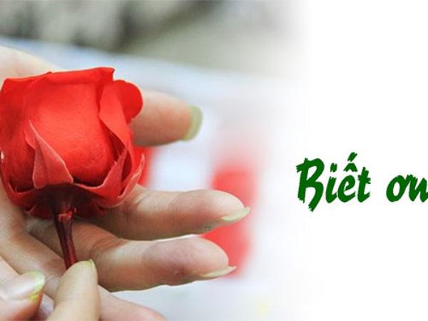 Viết đoạn văn 200 chữ về đạo lý của lòng biết ơn