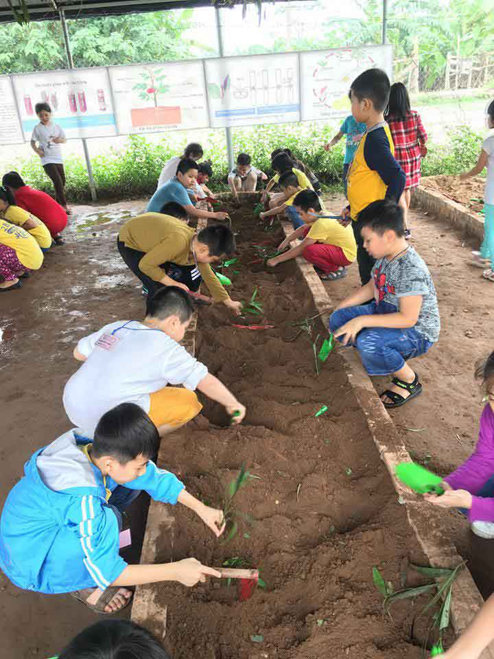 Viết một đoạn văn ngắn nói lên cảm xúc của em về môi trường và thiên nhiên sau chuyến tham quan du lịch