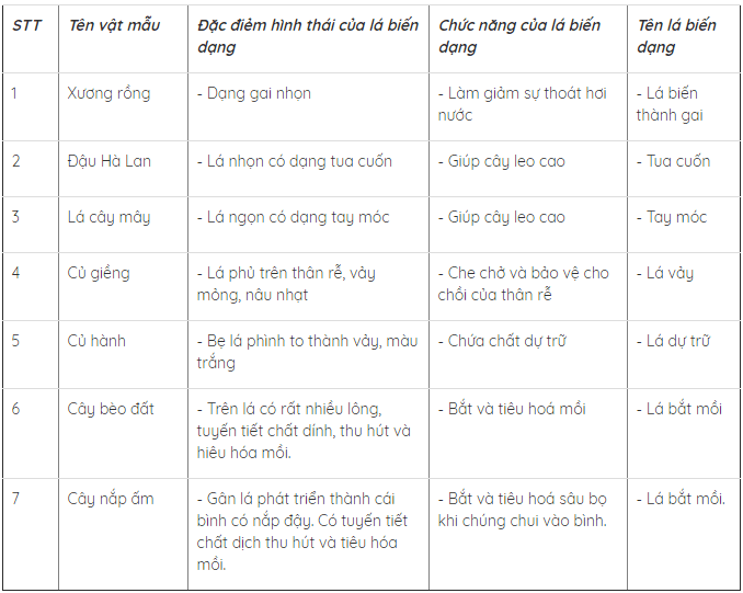 Lý thuyết Sinh học lớp 6 bài 25