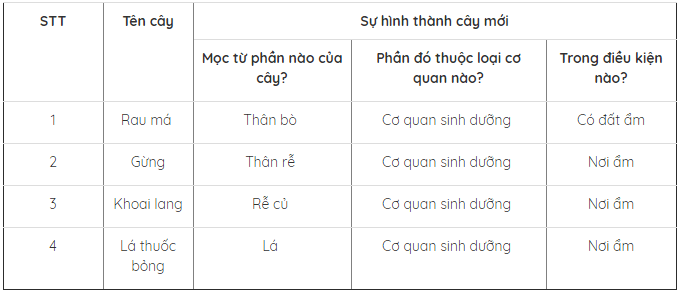 Lý thuyết Sinh học lớp 6 bài 26