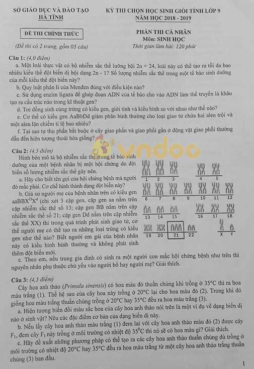 Đề thi chọn học sinh giỏi lớp 9 môn Sinh học Sở GD&ĐT Hà Tĩnh năm học 2018 - 2019