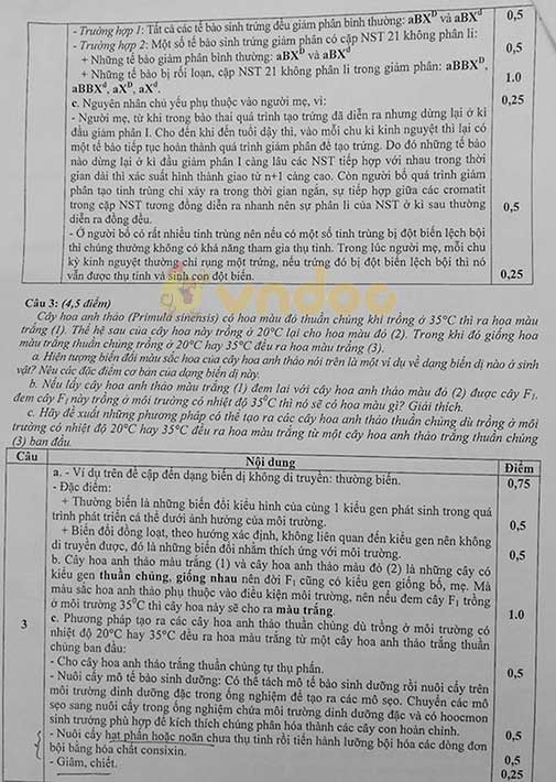Đáp án đề thi chọn học sinh giỏi lớp 9 môn Toán Sở GD&ĐT Hà Tĩnh năm 2018 - 2019