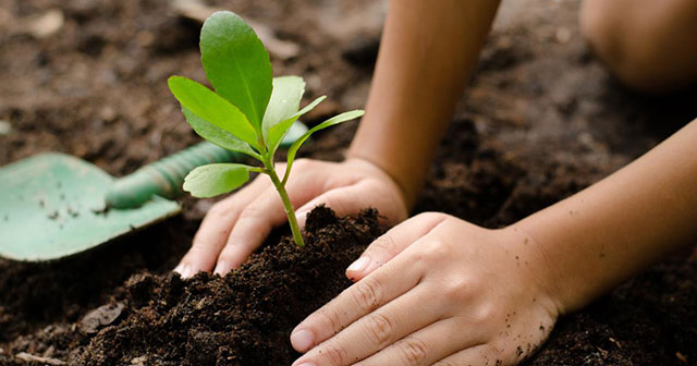 Ăn quả nhớ kẻ trồng cay