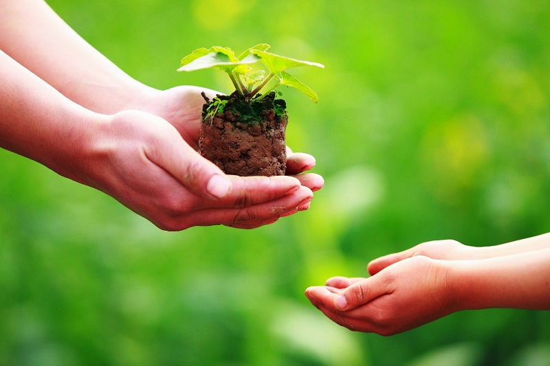 Nghị luận xã hội về cho và nhận