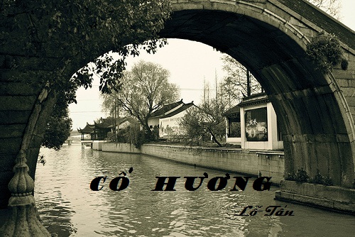 Trình bày nhận xét của em về nhân vật Nhuận Thổ trong bài Cố Hương