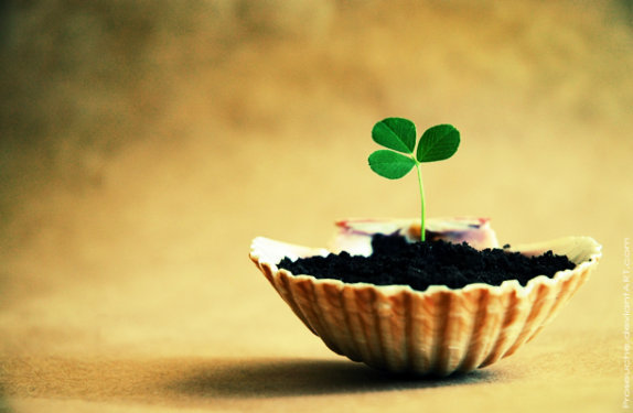 Nghị luận lòng biết ơn