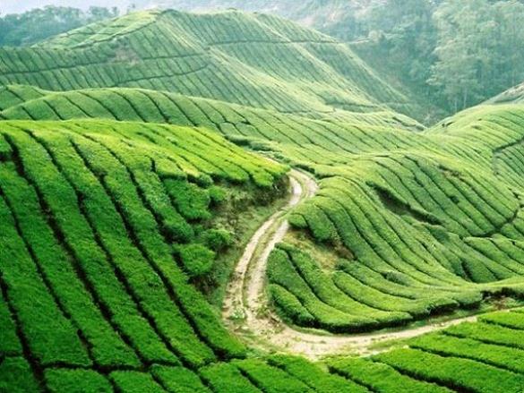 Nghị luận về bảo vệ tài nguyên đất