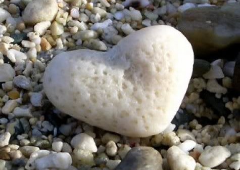 Trình bày suy nghĩ của em về lắng nghe hay chờ một viên đá