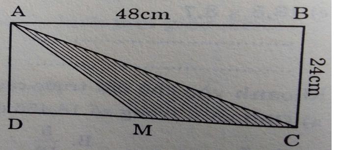 Đề ôn tập giữa học kì 2 môn Toán lớp 5