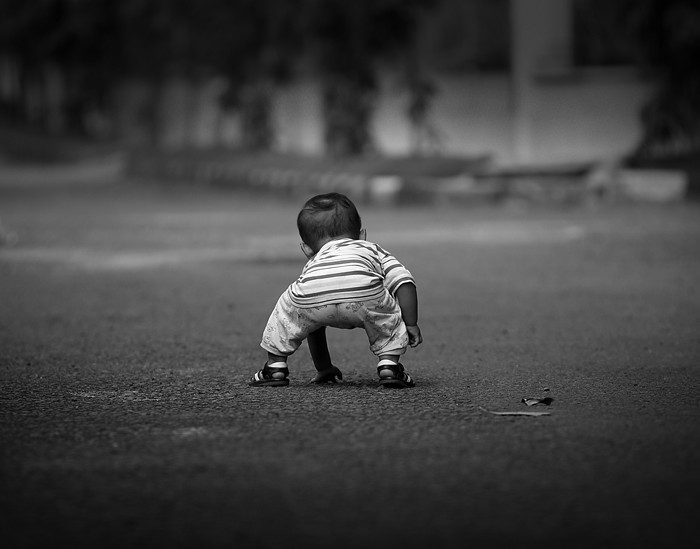 Nghị luận trình bày lí do vì sao chúng ta không nên sợ vấp n