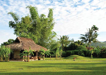 Trắc nghiệm Valentine