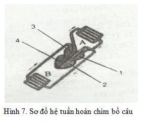 Đề thi học kì 2 lớp 7 môn Sinh học - Đề 18