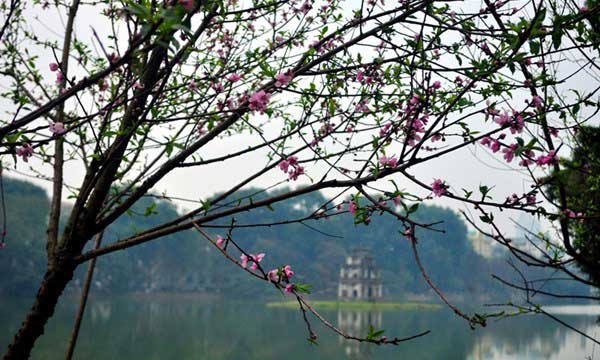 Phát biểu cảm nghĩ của em về mùa xuân Hà Nội 