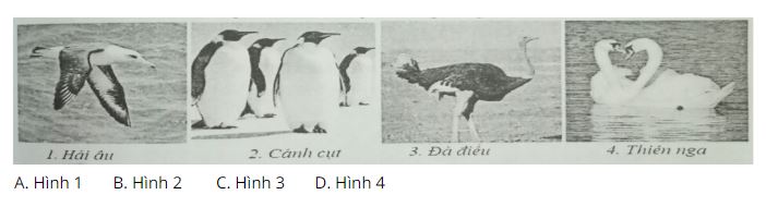 Trắc nghiệm Sinh học 7