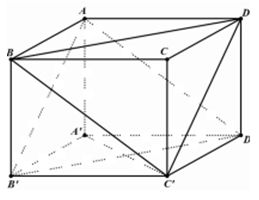 Đề kiểm tra 1 tiết lớp 11 Hình học chương 3 - Đề số 1