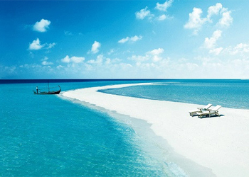 Trắc nghiệm IQ Kiến thức tổng hợp