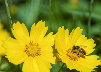 Trắc nghiệm IQ Kiến thức tổng hợp