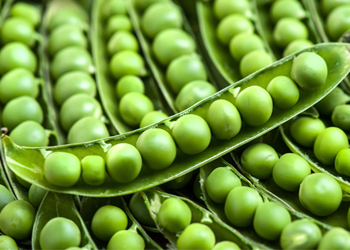 Trắc nghiệm IQ Kiến thức tổng hợp