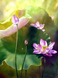 Cảm nghĩ về bài Trong đầm gì đẹp bằng sen